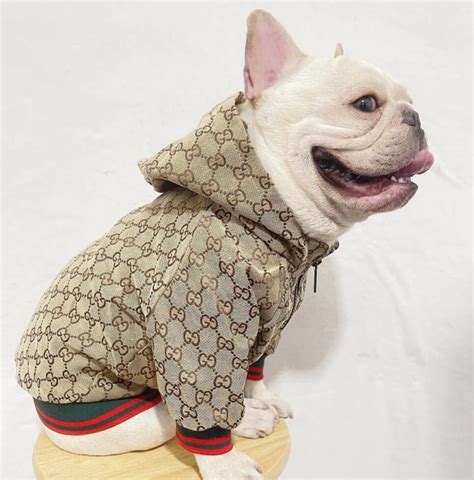 fake gucci dog clothes|high end designer dog clothes.